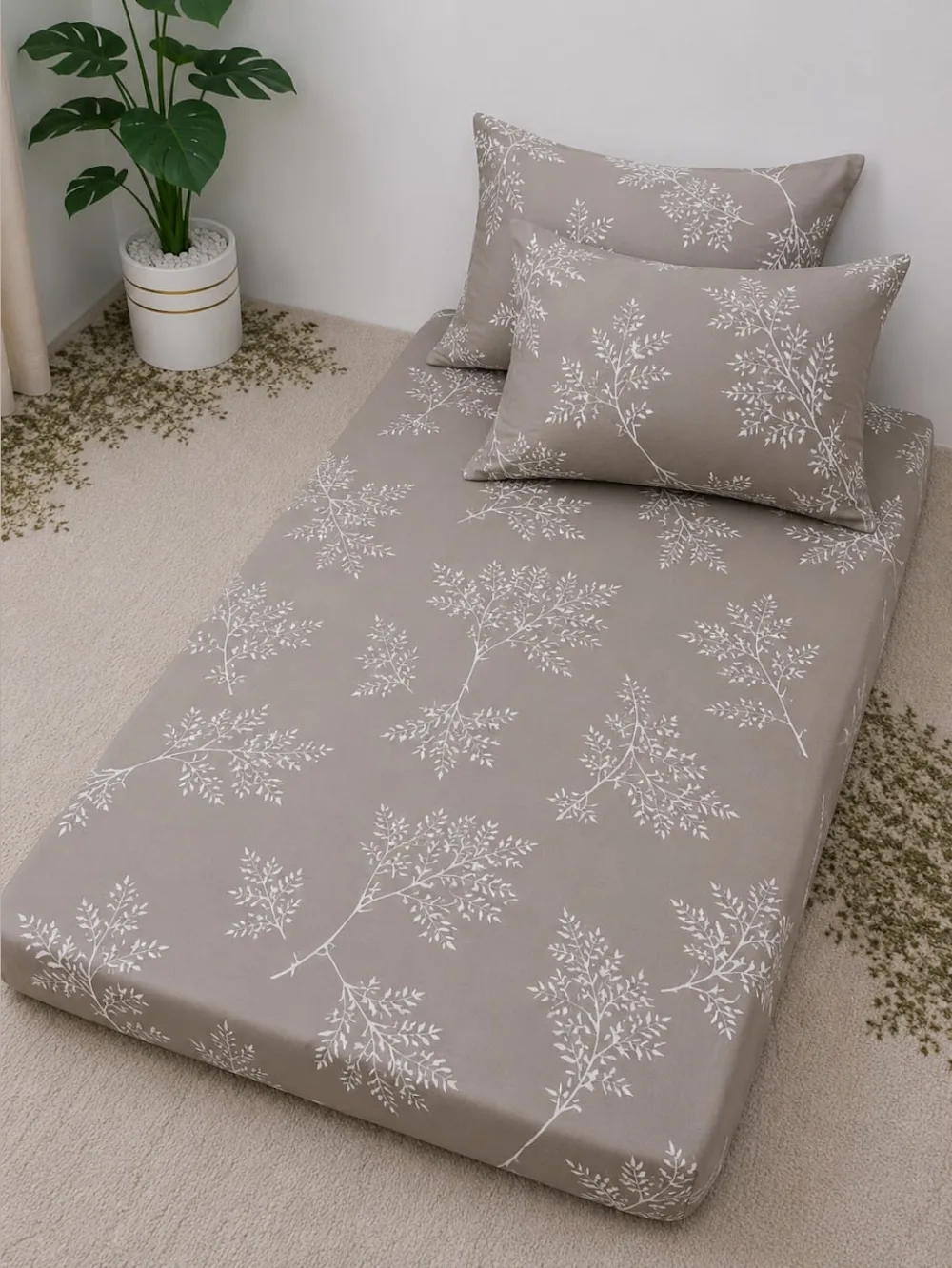 Drap Housse Coton